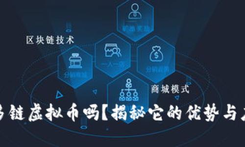 你了解多链虚拟币吗？揭秘它的优势与应用场景