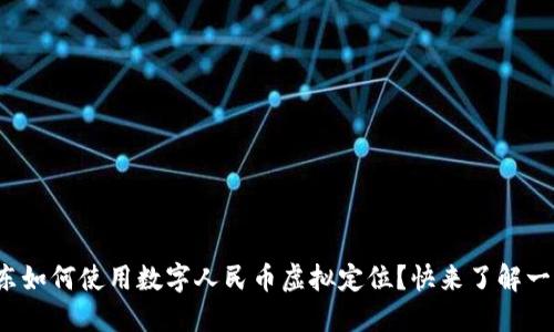 在京东如何使用数字人民币虚拟定位？快来了解一下吧！