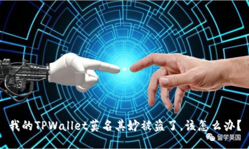 我的TPWallet莫名其妙被盗了，该怎么办？