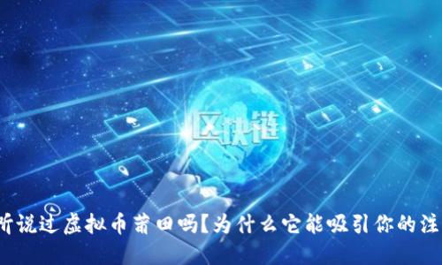 你听说过虚拟币莆田吗？为什么它能吸引你的注意？