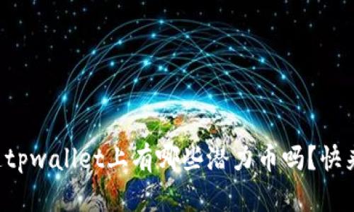 你知道tpwallet上有哪些潜力币吗？快来看看！