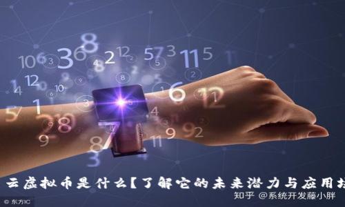 锐角云虚拟币是什么？了解它的未来潜力与应用场景！