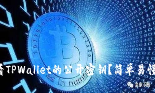 如何查看TPWallet的公开密钥？简单易懂的指南！