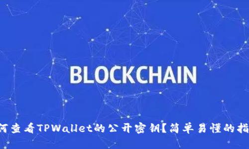 如何查看TPWallet的公开密钥？简单易懂的指南！
