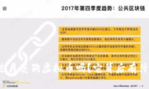 你听说过月亮狗虚拟币吗？它背后有什么秘密？