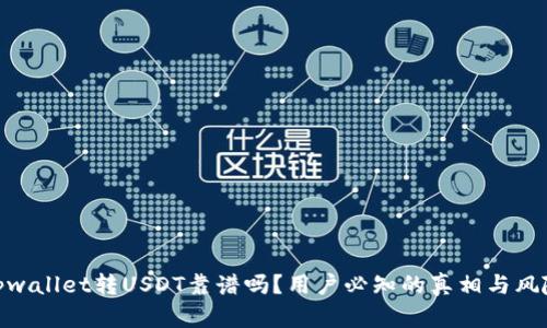 tpwallet转USDT靠谱吗？用户必知的真相与风险