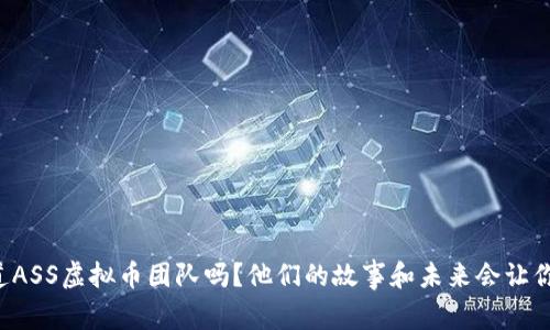 你知道ASS虚拟币团队吗？他们的故事和未来会让你惊讶！