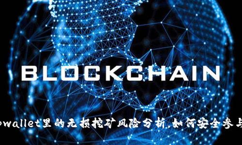 tpwallet里的无损挖矿风险分析，如何安全参与？