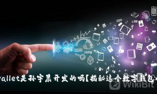你知道tpwallet是孙宇晨开发的吗？揭秘这个数字钱包的背后故事
