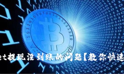 怎么解决TPWallet提现没到账的问题？教你快速自查和处理技巧！