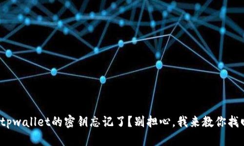 : tpwallet的密钥忘记了？别担心，我来教你找回！