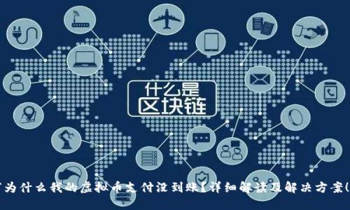 “为什么我的虚拟币支付没到账？详细解读及解决方案！”