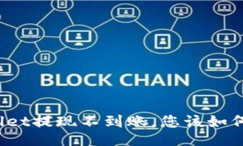 TPWallet提现不到账，您该如何处理？