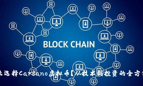 为什么选择Cardano虚拟币？从技术到投资的全方位解读
