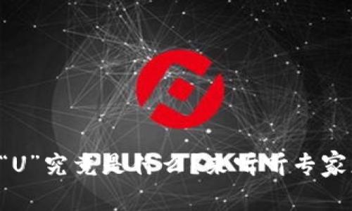 虚拟币“U”究竟是什么？来听听专家怎么说！