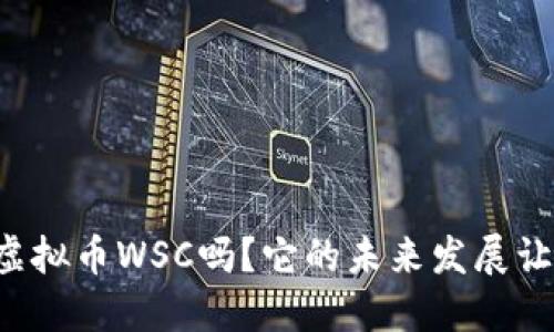 你知道虚拟币WSC吗？它的未来发展让人期待！