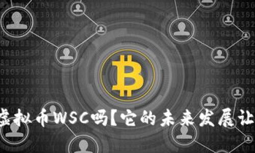 你知道虚拟币WSC吗？它的未来发展让人期待！