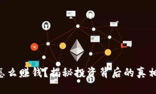 虚拟币怎么赚钱？揭秘投资背后的真相与技巧！