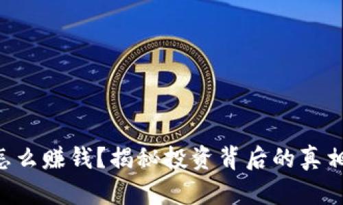 虚拟币怎么赚钱？揭秘投资背后的真相与技巧！