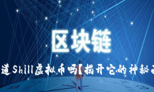 你知道Shill虚拟币吗？揭开它的神秘面纱！