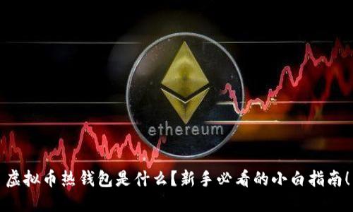 虚拟币热钱包是什么？新手必看的小白指南！