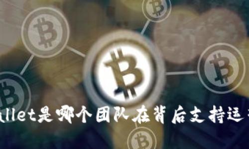 TPWallet是哪个团队在背后支持运营的？