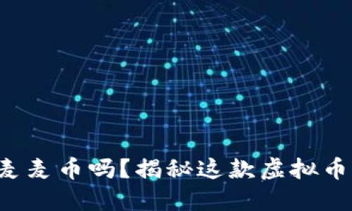 你知道麦麦币吗？揭秘这款虚拟币的秘密！