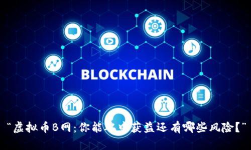 “虚拟币B网：你能从中获益还有哪些风险？”