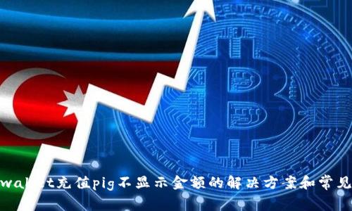 : tpwallet充值pig不显示金额的解决方案和常见问题