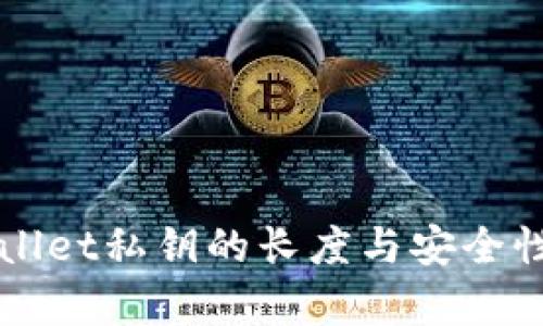 TPWallet私钥的长度与安全性分析