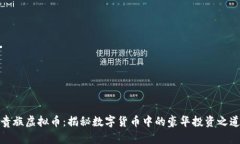 贵族虚拟币：揭秘数字货币中的豪华投资之道