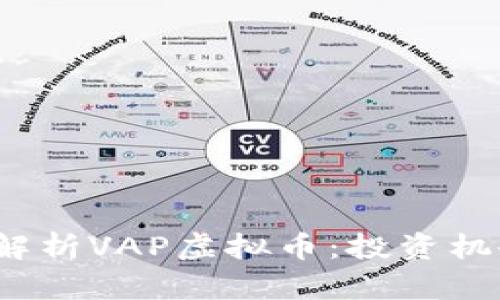 2023年全面解析VAP虚拟币：投资机会与风险评估