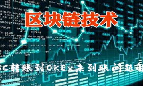 TP Wallet BSC转账到OKEx未到账问题解析及解决方案