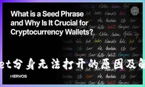 TPWallet分身无法打开的原因及解决办法