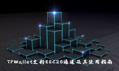 TPWallet支持ERC20通道及其使用指南